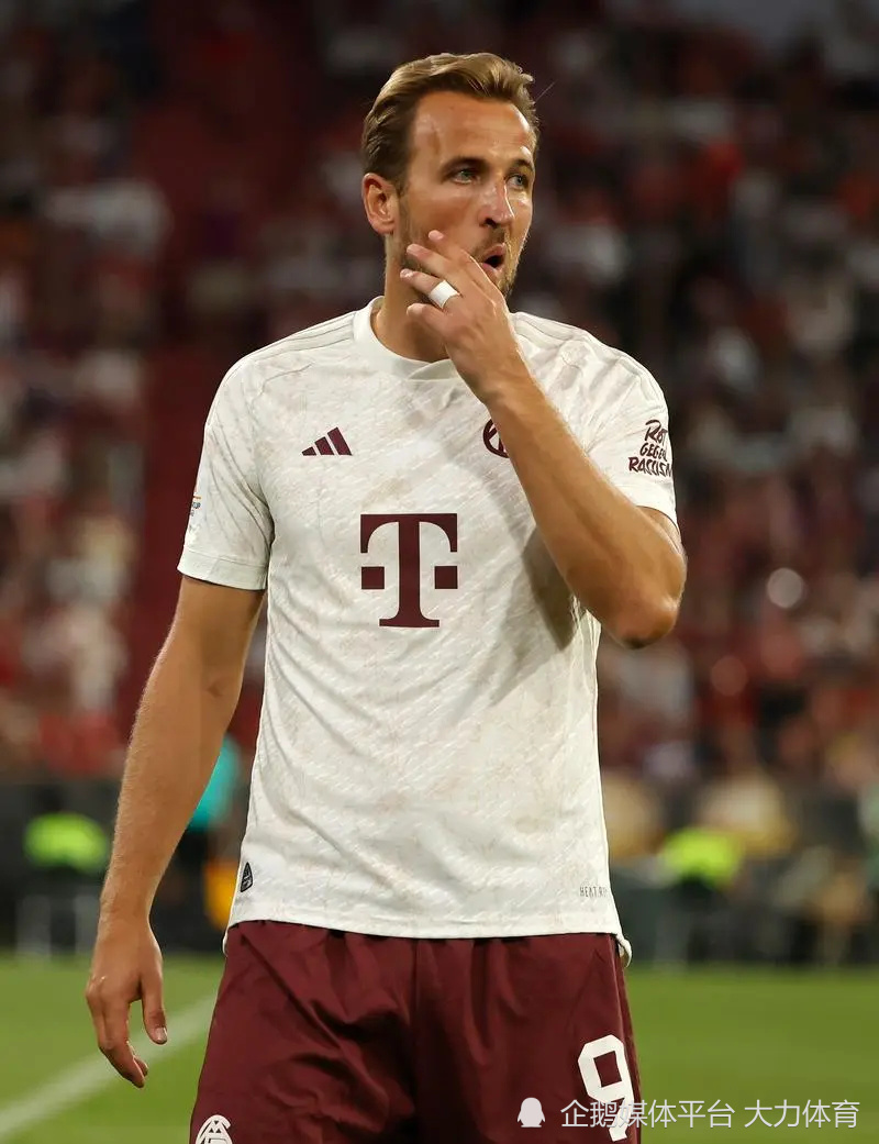 不仅因为他 不仅因为他