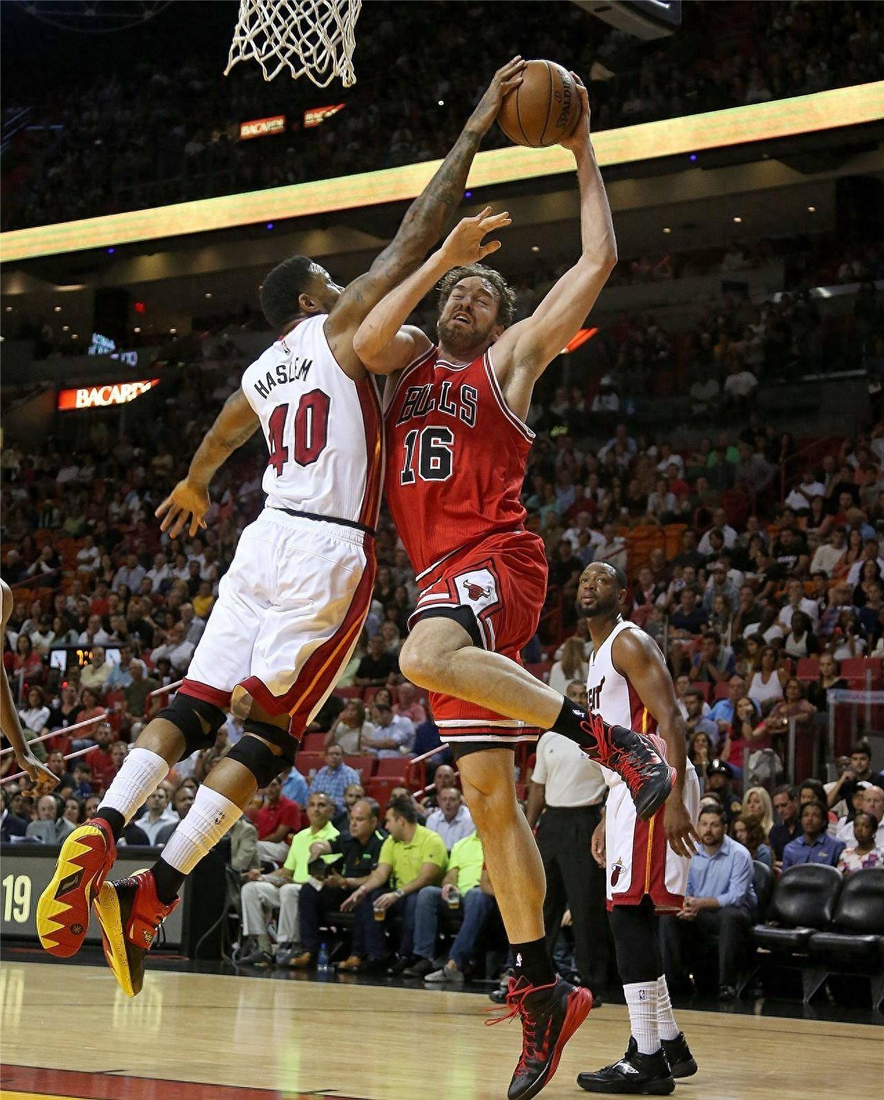 澳大利亚队 澳大利亚队