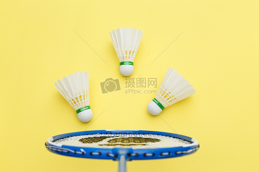 这一猜测 这一猜测