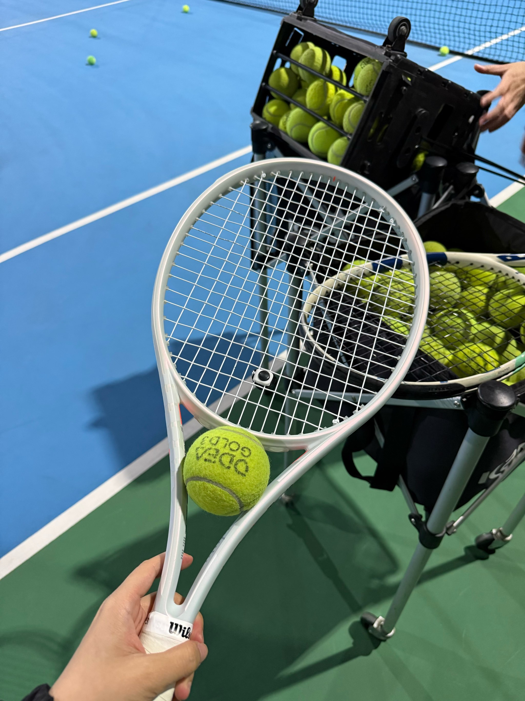 无论是在中 无论是在中