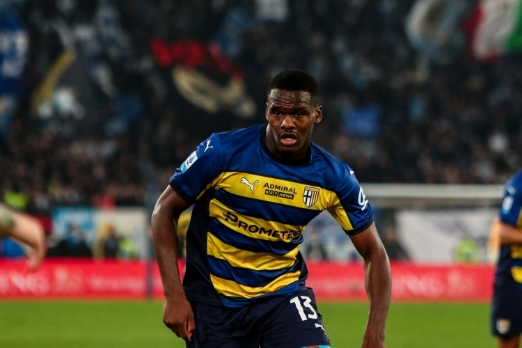 张本智和在 张本智和在