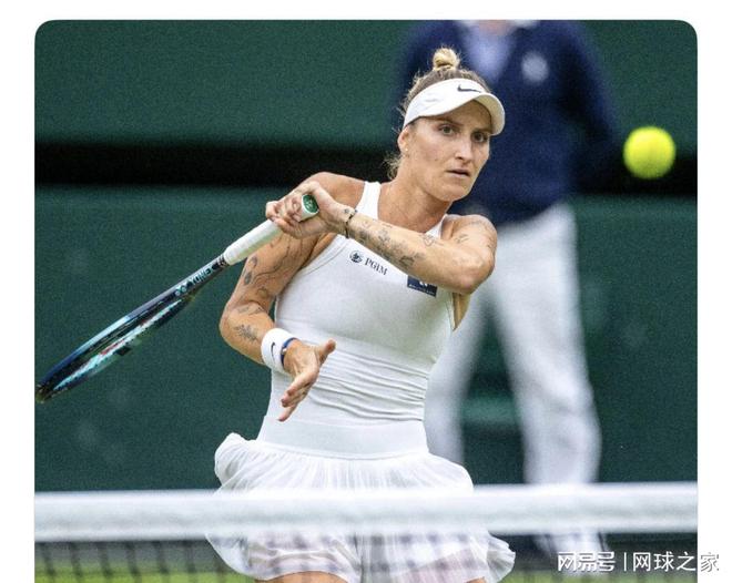 动摇的权威 动摇的权威